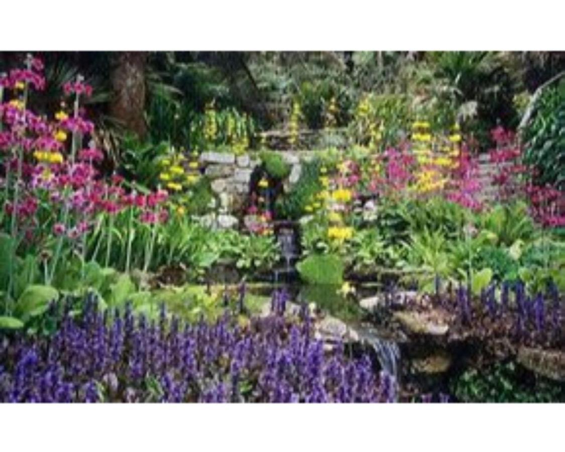 Villa Trelawne Garden Annexe Falmouth Exterior foto